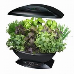 AeroGarden Classic Indoor Garden With Herbs, Black 2101-00B