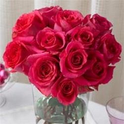 Organic Bouquet Roses, Pink Passion, One Dozen