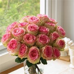 Organic Bouquet Roses, Crown Majesty, Two Dozen
