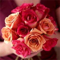 Organic Bouquet Roses, Assorted, One Dozen