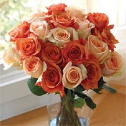 Organic Bouquet Roses, Assorted, Two Dozen