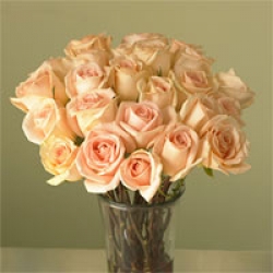 Organic Bouquet Roses, Peach, Two Dozen