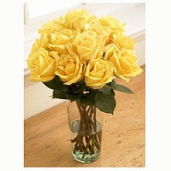 Organic Bouquet Roses, Yellow Sunshine, One Dozen