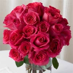 Organic Bouquet Roses, Pink Passion, Two Dozen