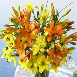 Organic Bouquet Lilies, Asiatic Sunset, 10 Stem